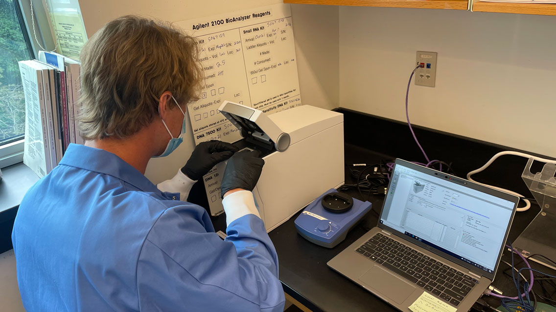 The BioAnalyzer Station