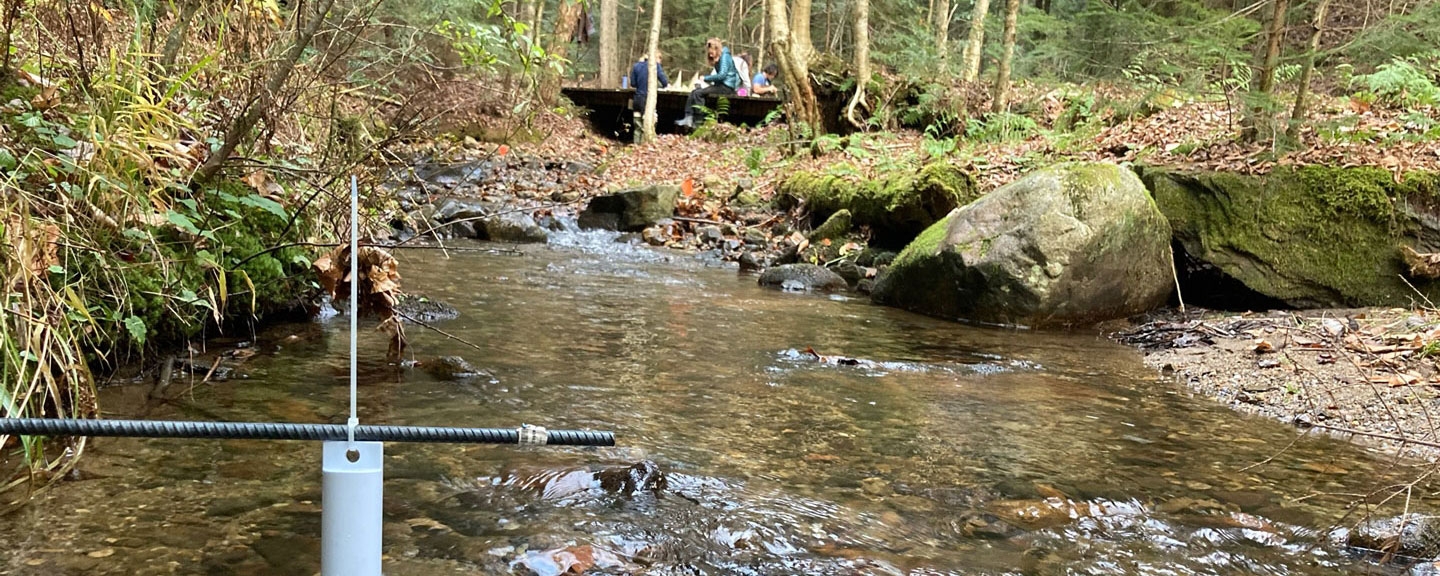 Students in the field at a local stream.