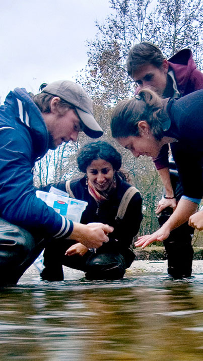 Two women and two men are kneeling in a stream. One of the men appears to be holding a sample they have taken from the stream and the other people at looking at his hand.