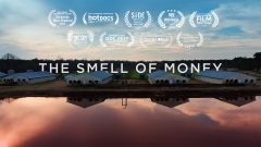The Smell of Money film title card showing a pig farm with blue sky above and pink waste pond below. 