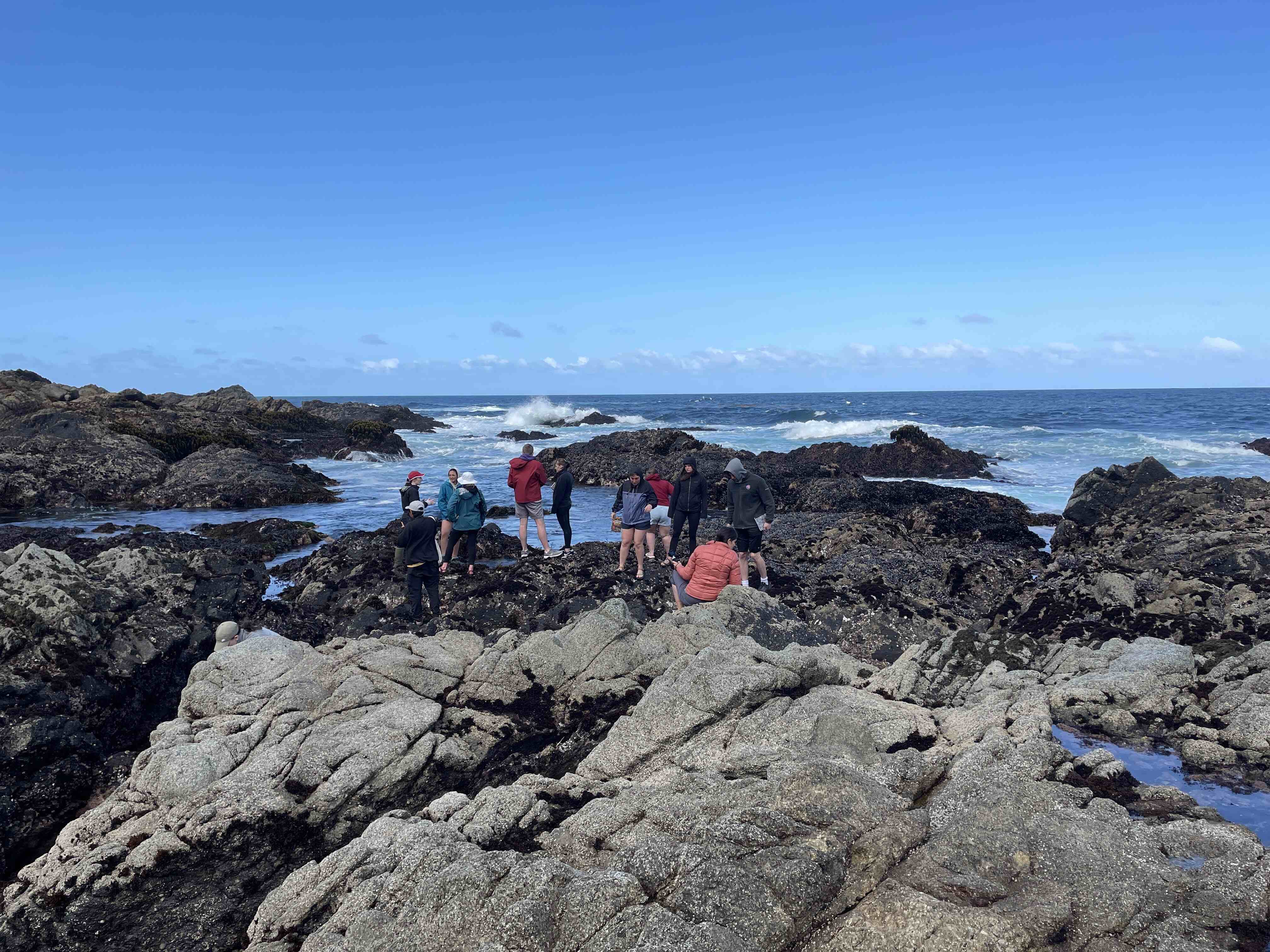 Students explore coastal tide pools