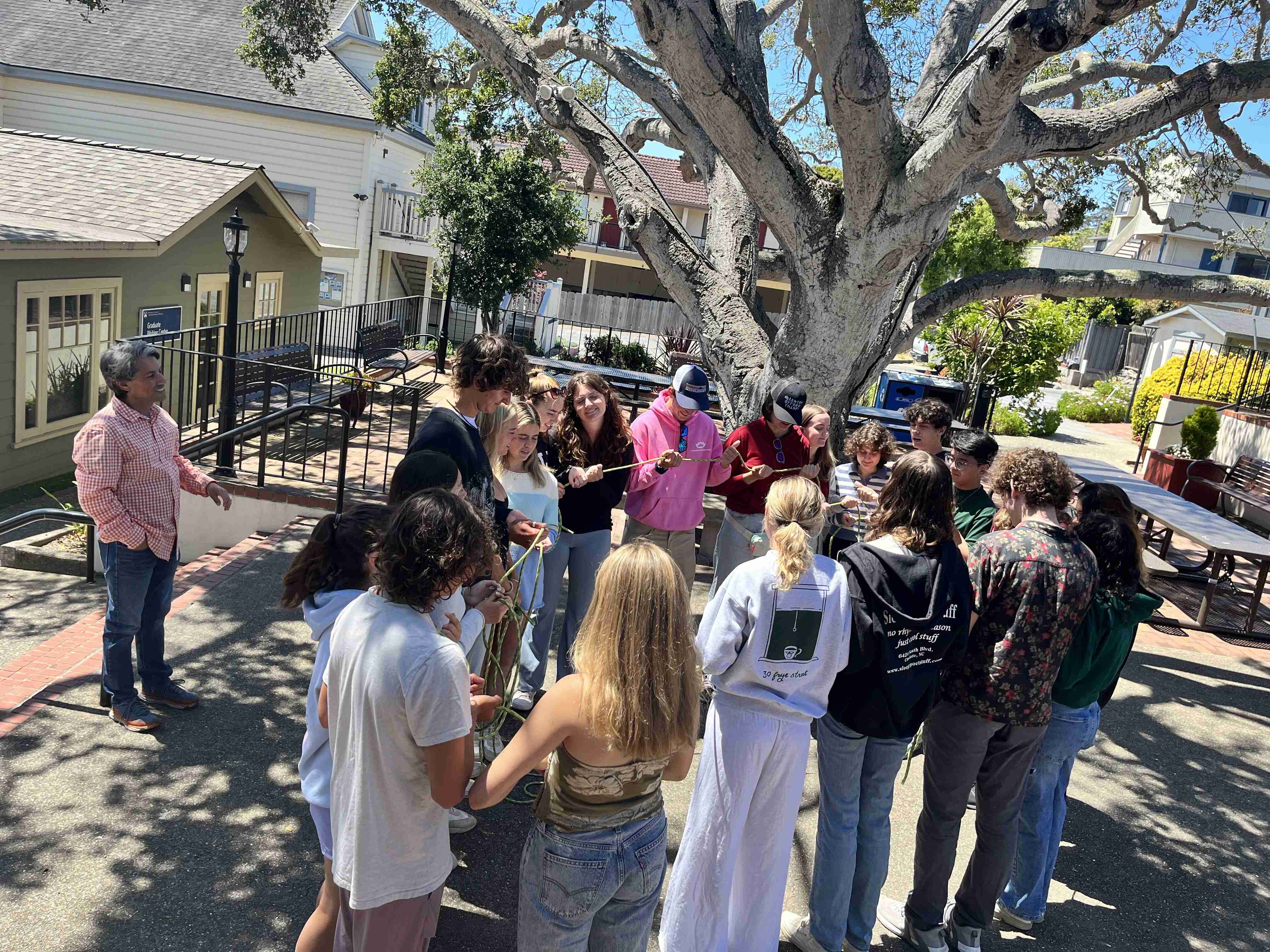 Students working as a team under a large tree