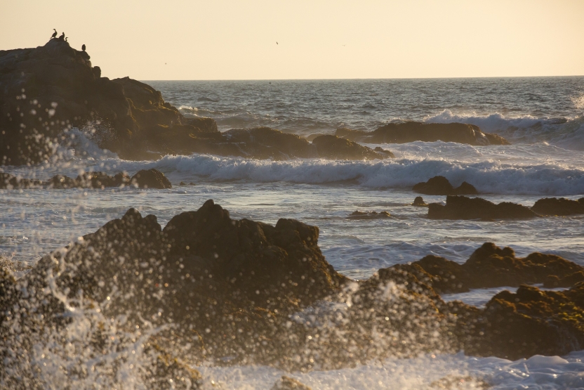 Waves crashing against rocks at sunset