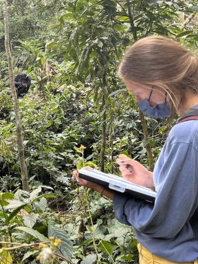 Photo of a young woman with blond hair and a lue mask and blue sweatshirt, standing in the forest with a notepad and pen. In the near background is a chimpanzee.