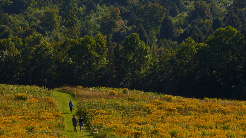 Three BLWC students walk through a field on the Bread Loaf campus.