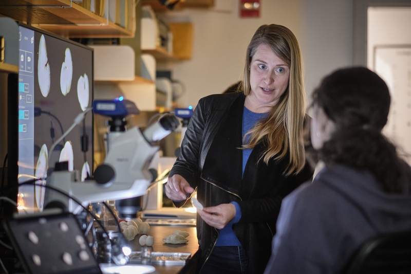 A faculty member speaks with a student in a science lab.