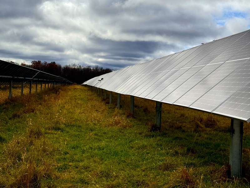 A line of solar panels in a field.