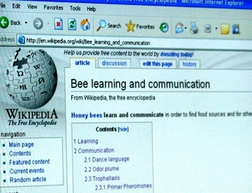 bee_website2_detail.jpg