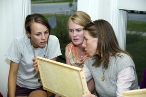 honey_frame_web.jpg