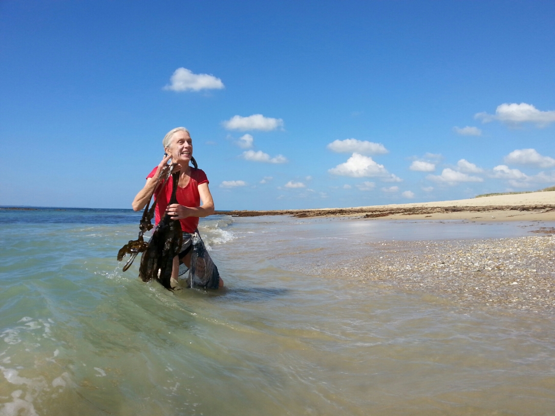 DancingInWildPlaces-AndreaOlsen-Brittany.jpeg DancingInWildPlaces-AndreaOlsen-Brittany.jpeg
