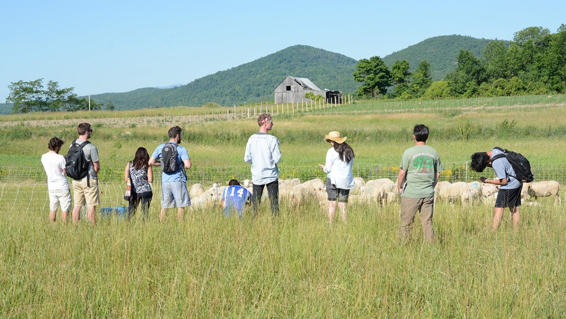 Essex4_0.jpg While facing the foothills to the west of Essex, Mark Kimball told some \