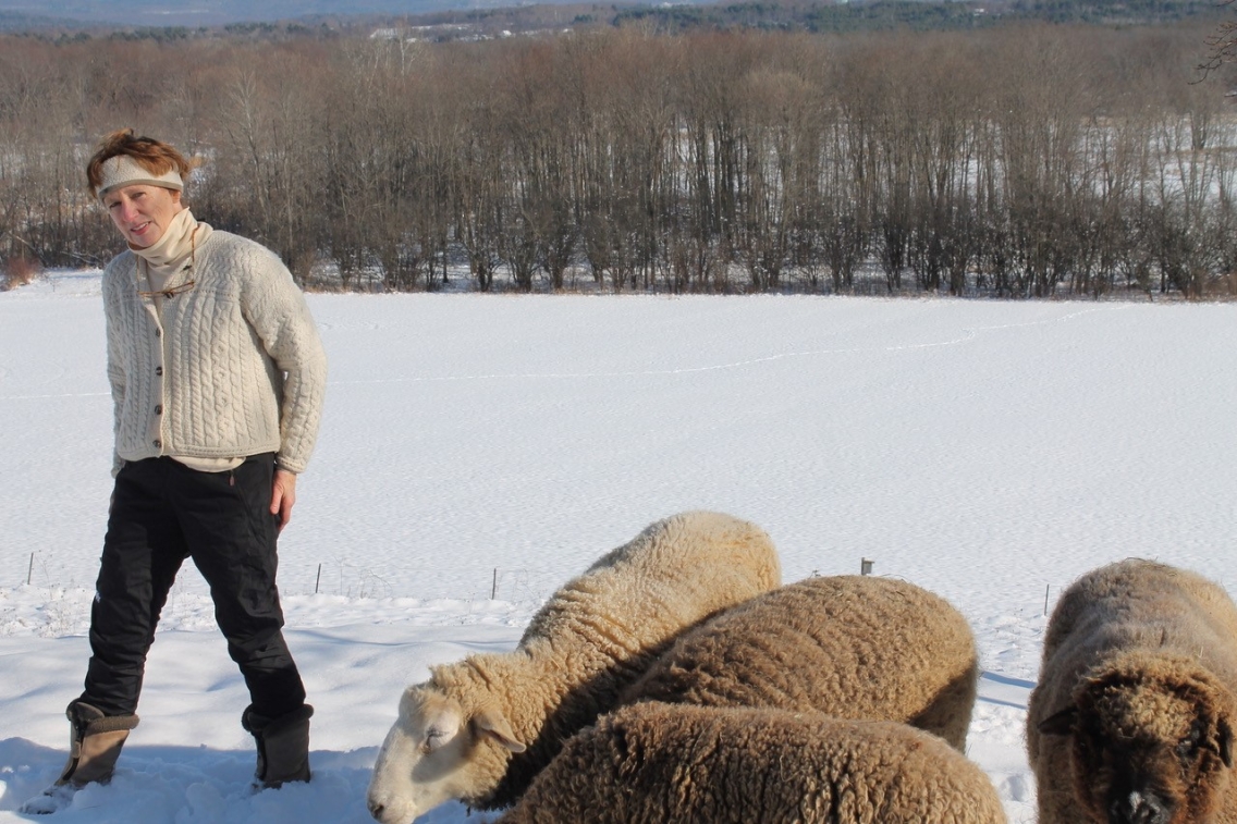 Nan+Jenks-Jay_sheep.jpg