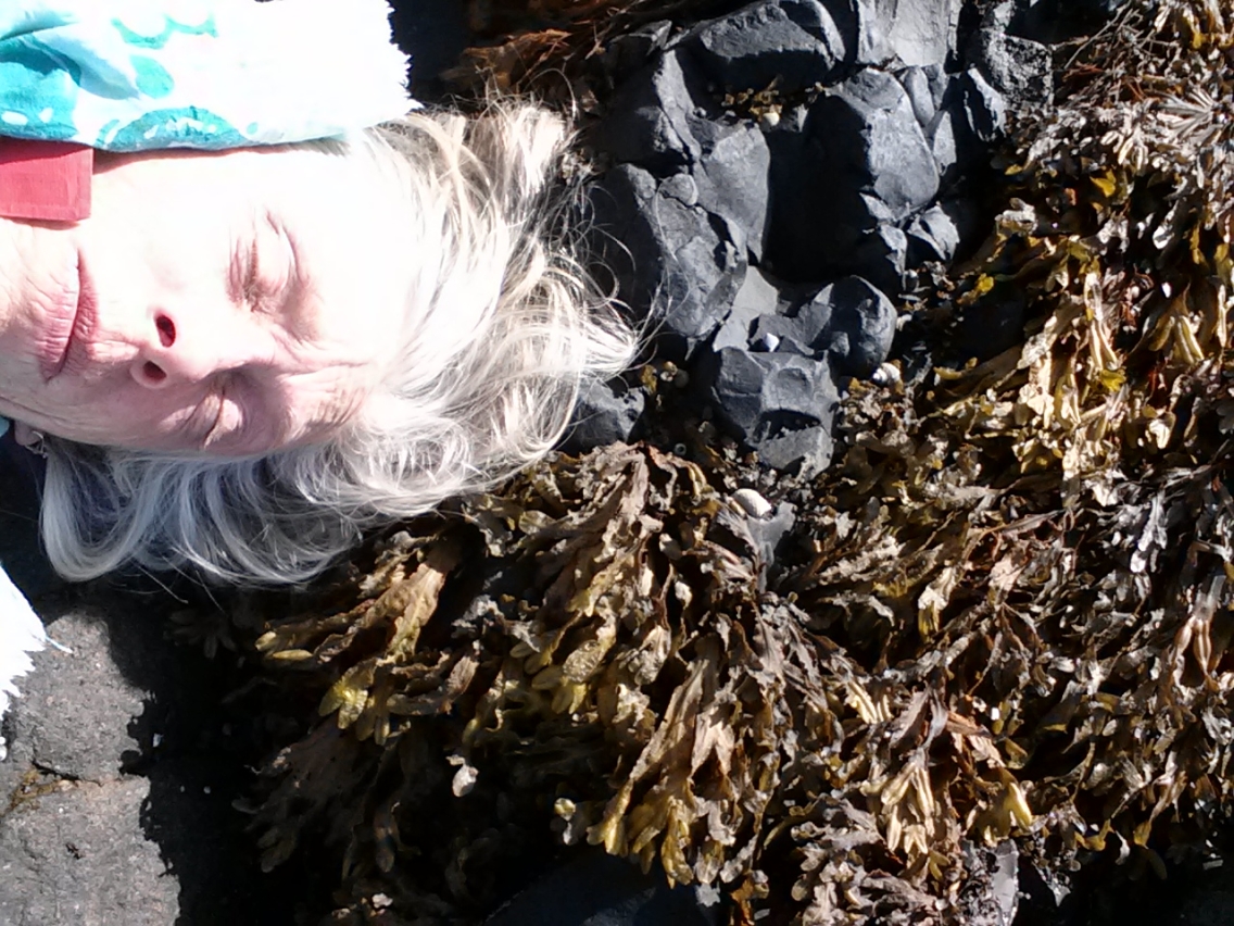 Olsen+Seaweed+Iceland.jpg Olsen Seaweed Iceland.jpg