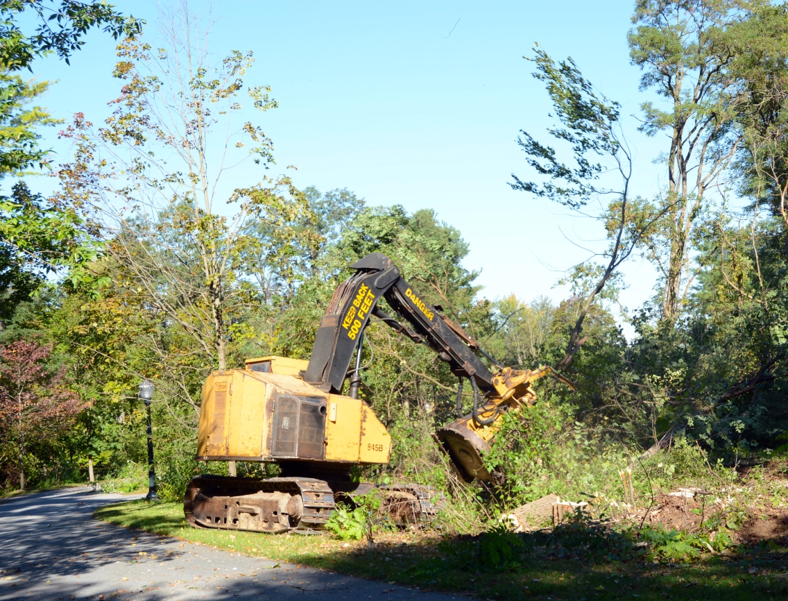 Ridgeline_demoltion_logging.jpg