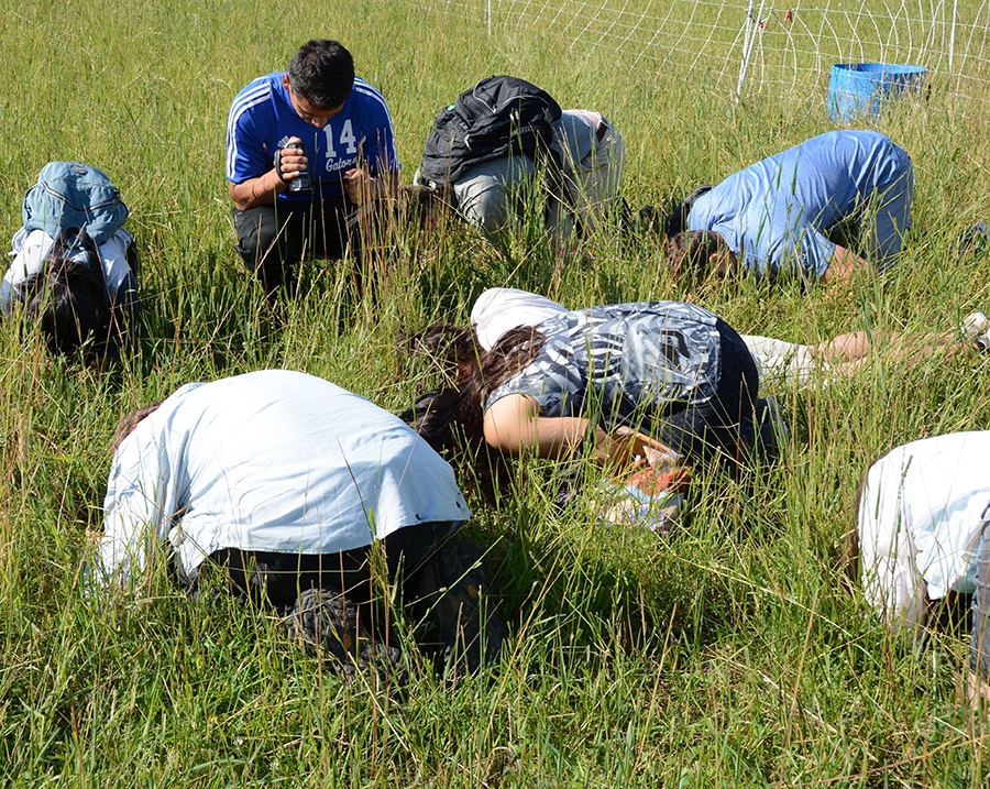 Field experiences such as this are essential to the School of the Environment.