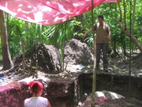JungleSiteWEB