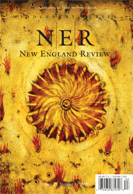 NERFallcover.gif