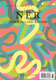 NERcover28.jpg