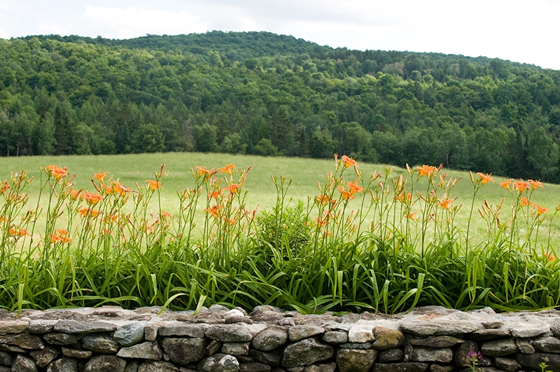 Bread-Loaf-Wall-Lilies.jpg