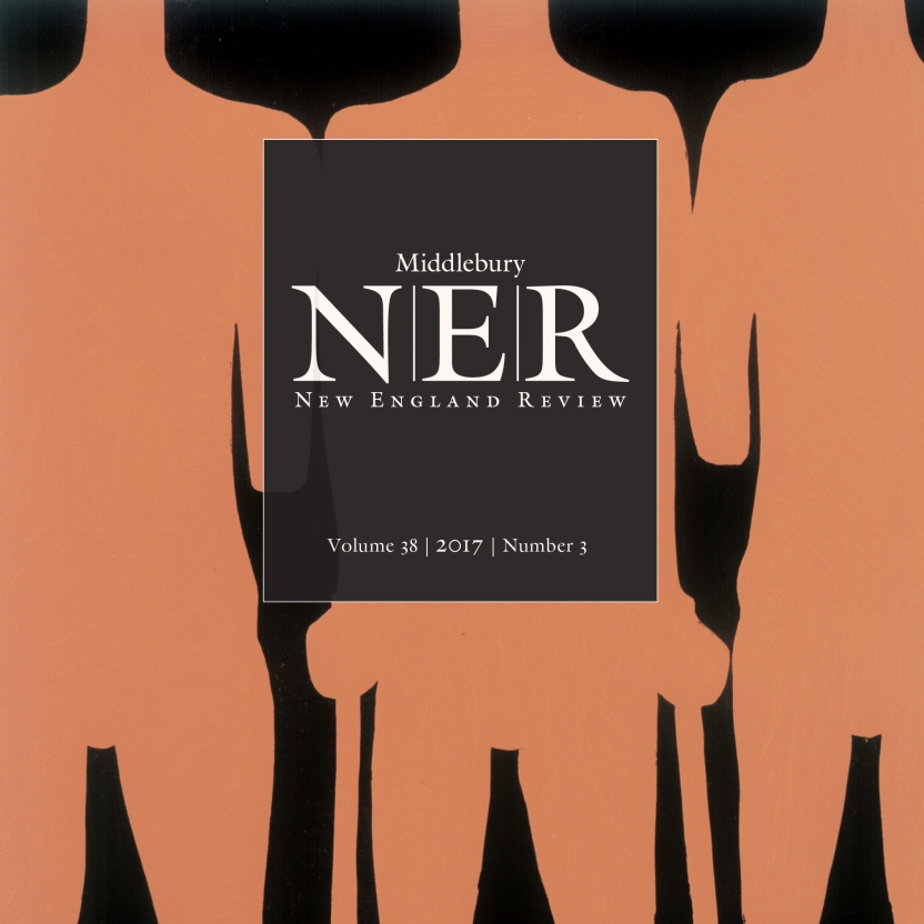 NER-Fall-17.jpg