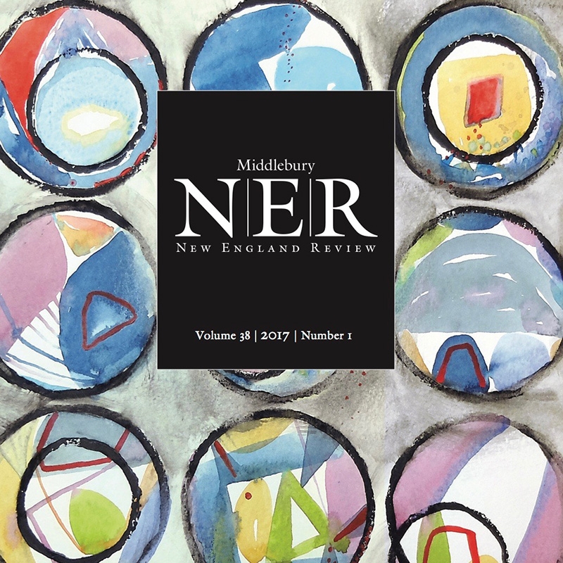 NER38-1_frontcover.jpg