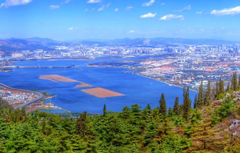 from_midd_kunming_fb_page_home