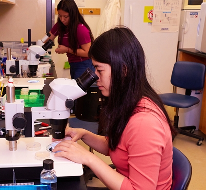 glen_ernstrom_lab_news.jpg