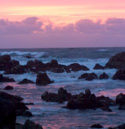 monterey-coast