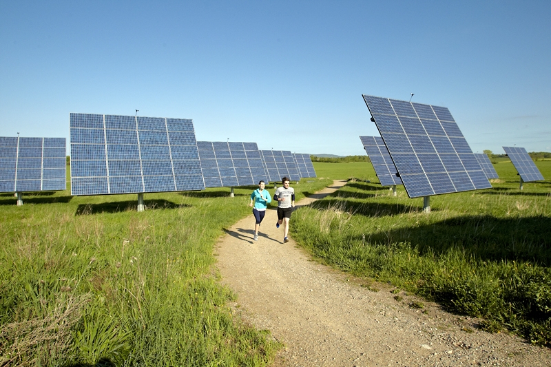 solar_panels_joggers