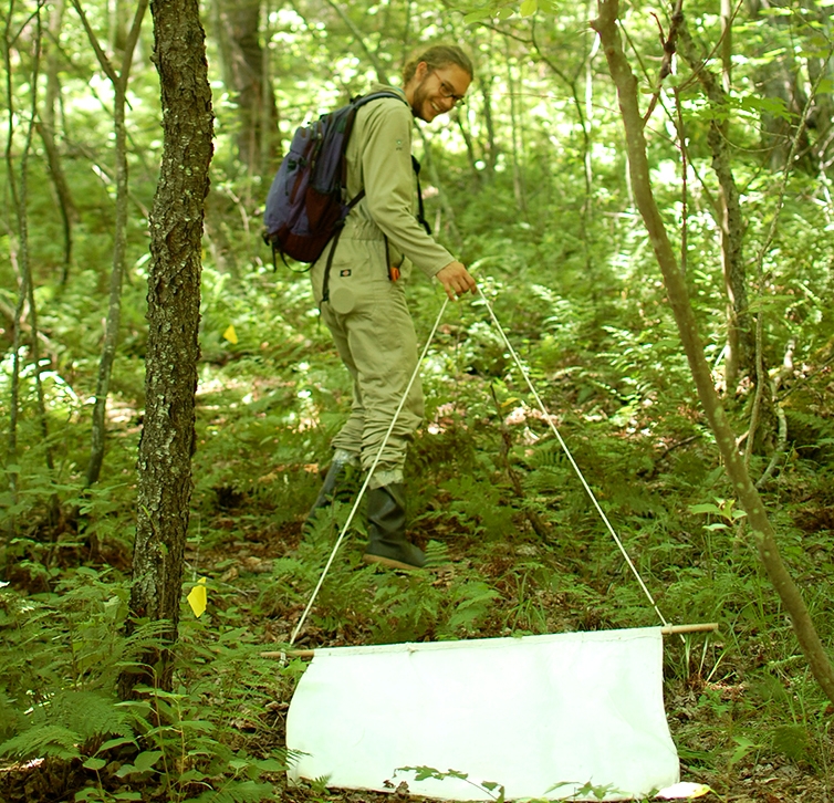 tick_researcher_collecting.jpg