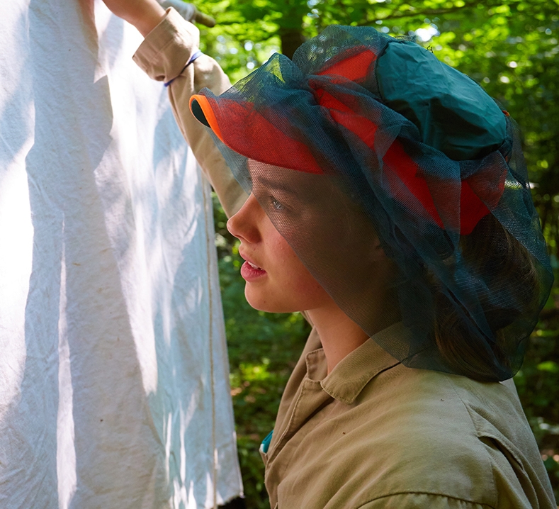 Harper Baldwin ’19 inspects a piece of canvas for ticks. Baldwin is part of Professor David Allen's research team on factors impacting tick populations.