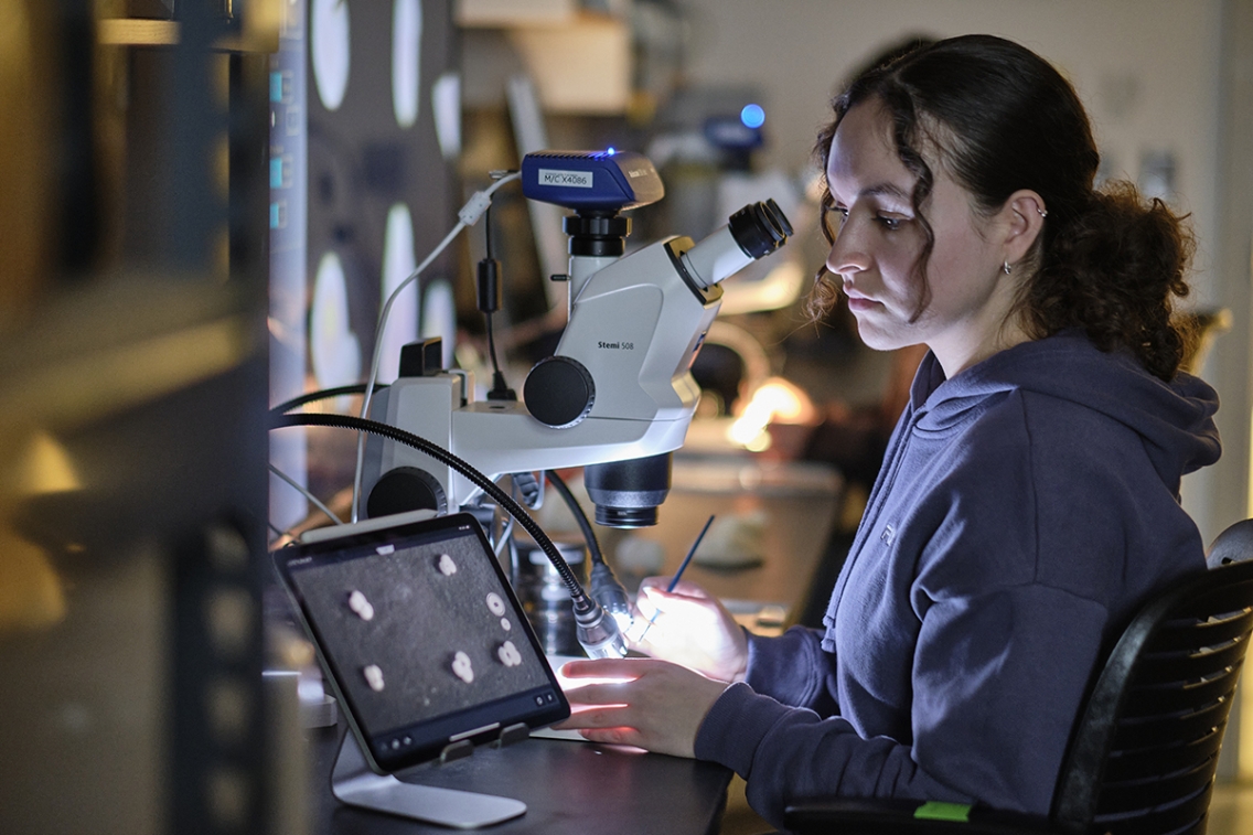 An undergraduate student sits in front of a microscope in a science lab and looks at images displayed on a monitor.