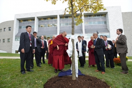 hhdl_tree.jpg