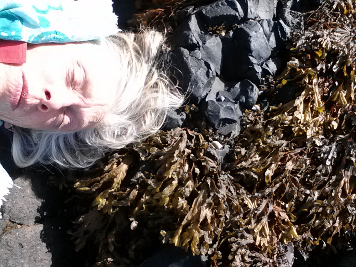 Olsen Seaweed Iceland.jpg