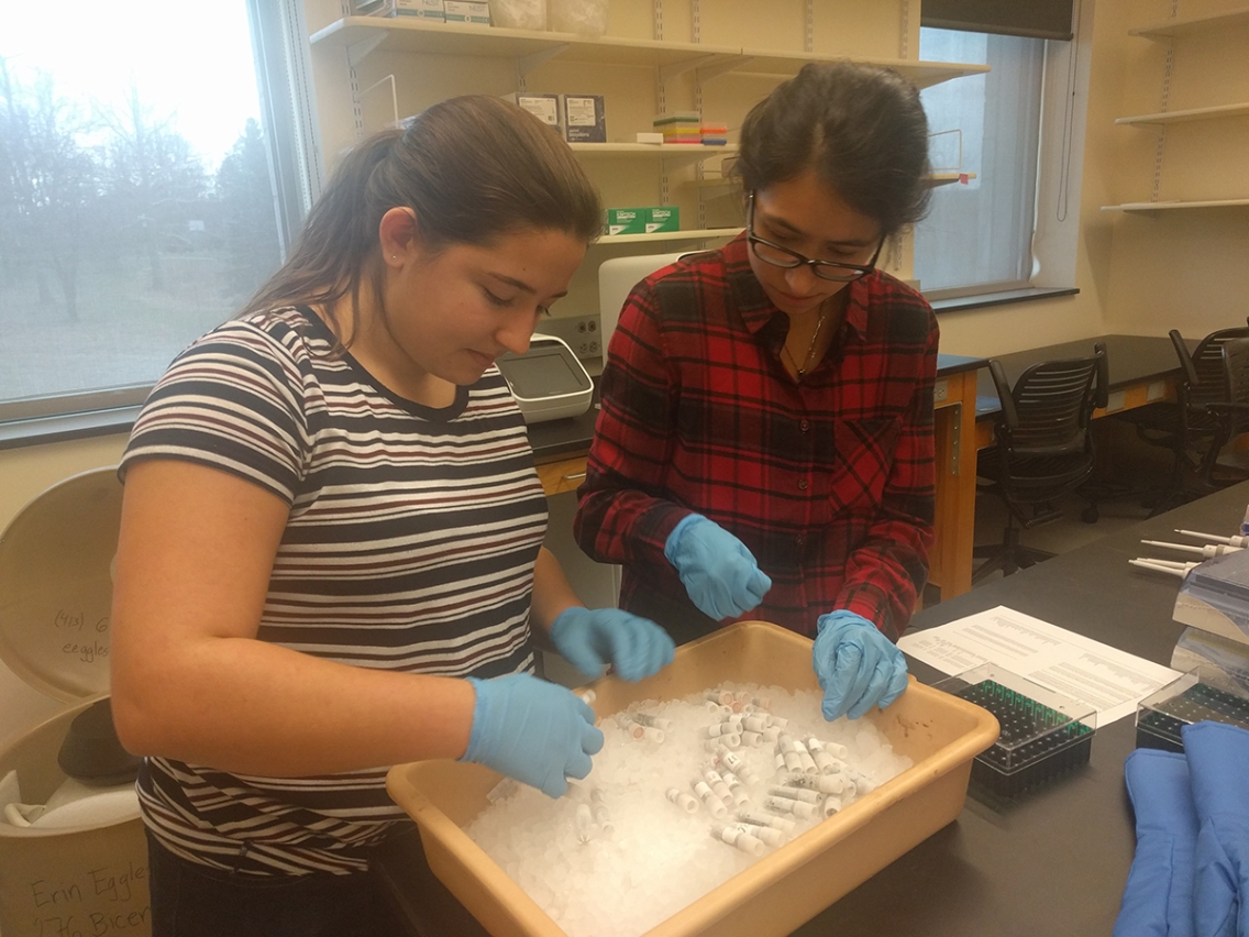 eggleston_lab_students.jpg