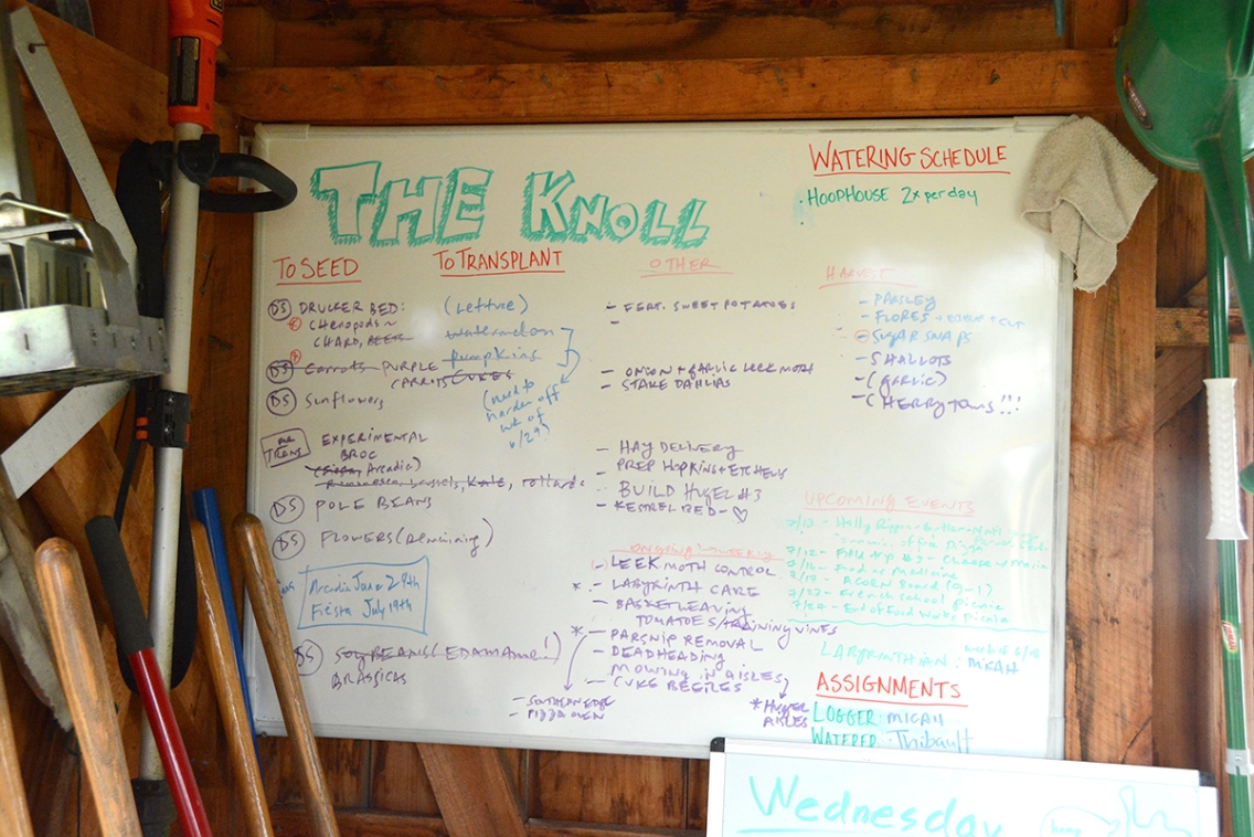 knoll_chore_sign.jpg