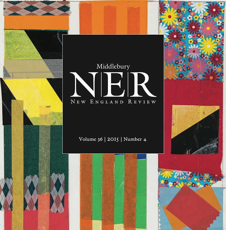 NER-front-cover-Feb.jpg