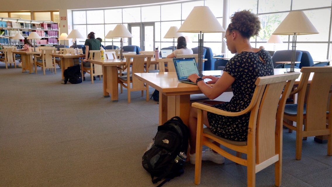 Students studying in the library.