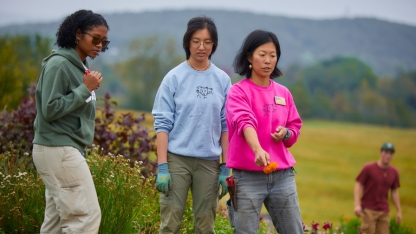 Students working together in the organic garden on campus.