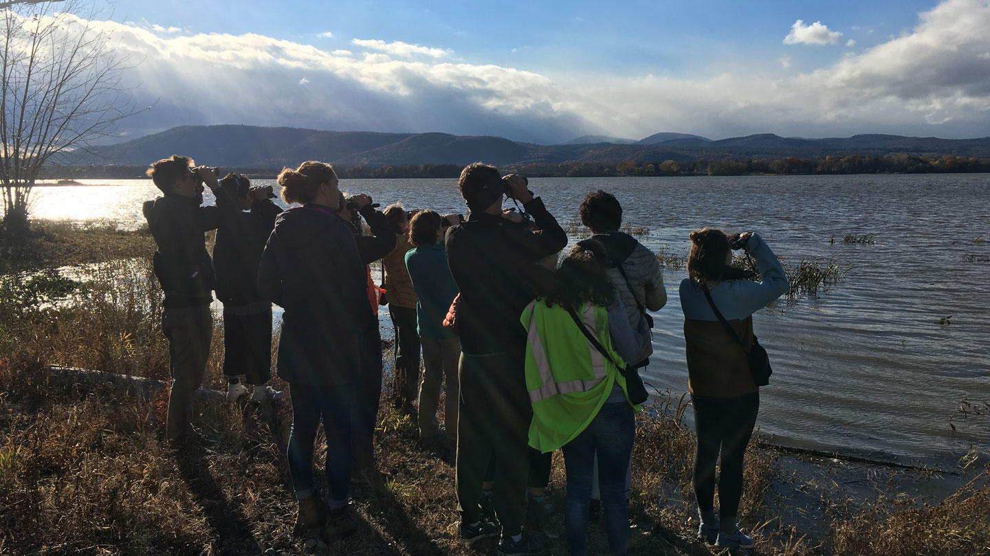 First-Year Seminar