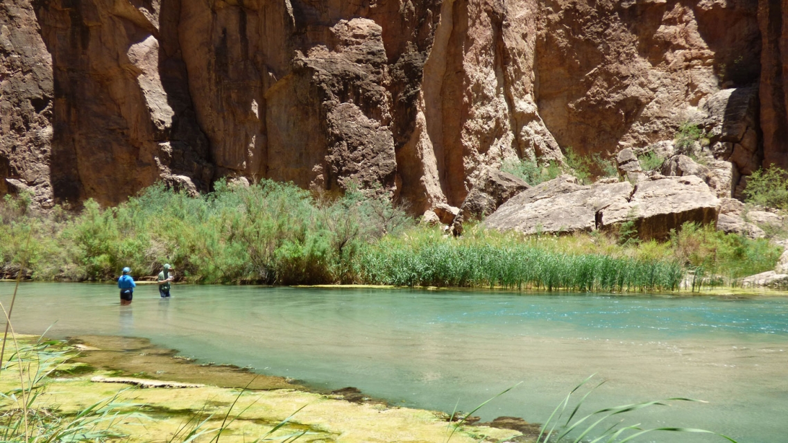 Students collect sediments for a nutrient limitation assay in the Little Colorado River, AZ for an independent research project.