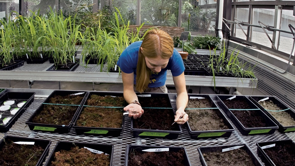 Student in the greenhouse.