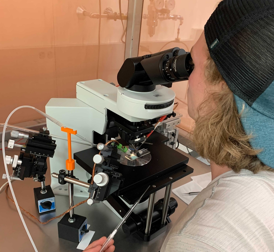 student using microscope