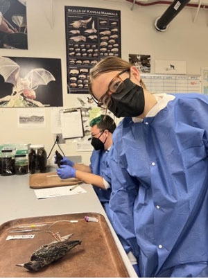 Student in the lab.