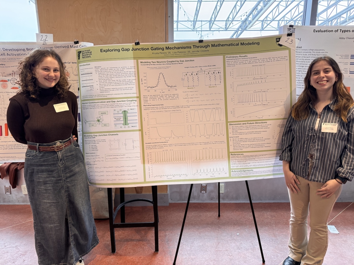 Liza Platonov ('26) and Krysta Pereira ('26) presenting their work on gap junction modeling at VBRN poster session in Burlington, VT.