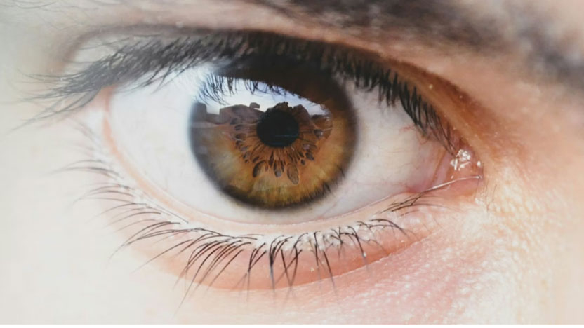 A close up of an eye