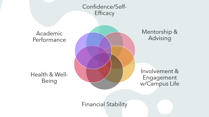 nce/Self-Efficacy, Mentorship and Advising, Academic Performance, Health and Well-Being, Financial Stability, Involvement and Engagement with Campus Life.