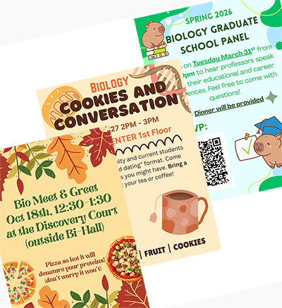 image of past event posters