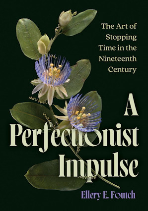 Book Cover A Perfectionist Impulse 