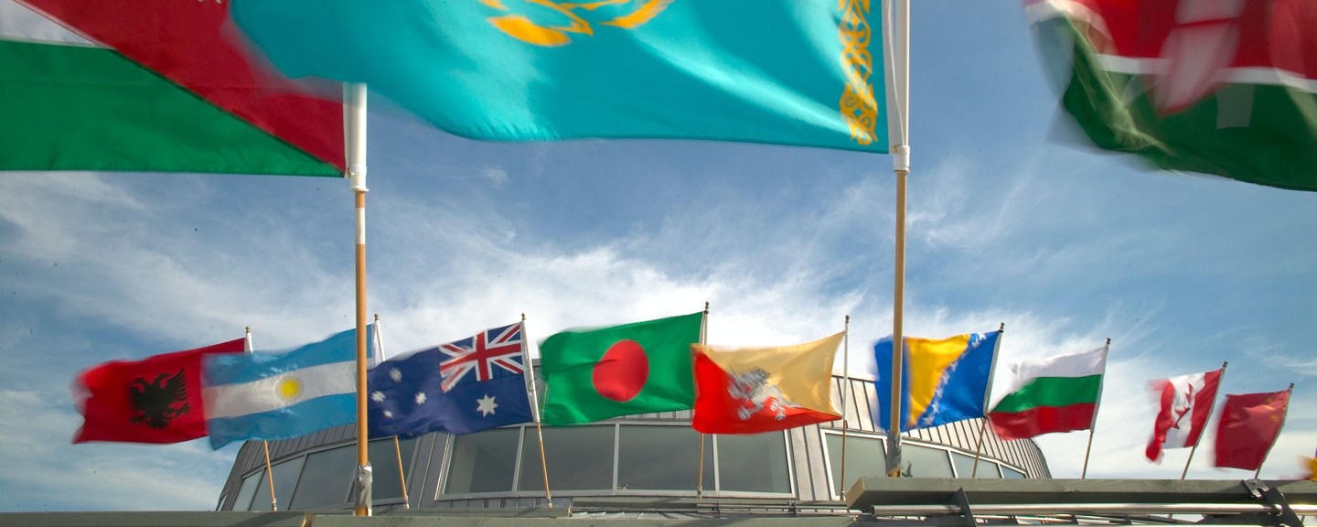 Flags from around the world flying atop Davis Library on the Vermont campus.